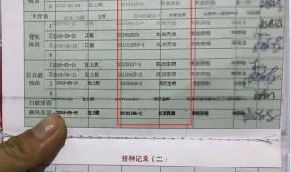 怎么查疫苗接种记录