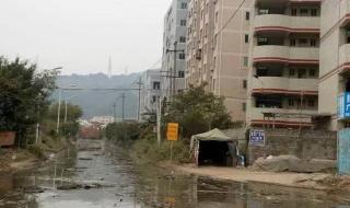 深圳10年无房加40分