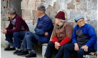 65岁农民每月可领多少钱