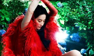 17岁28岁33岁的刘亦菲