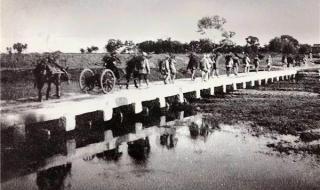 山东收回省属事业单位编制